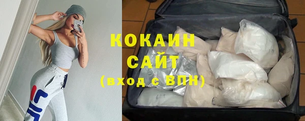 прущие грибы Богородицк
