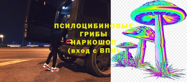 spice Беломорск