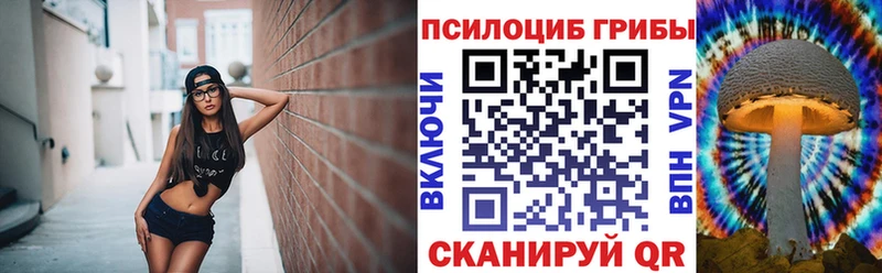 Галлюциногенные грибы мухоморы закладки мега вход Княгинино