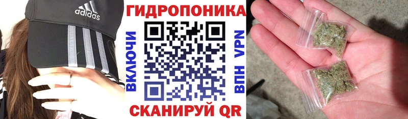 Шишки марихуана марихуана Княгинино
